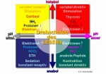 Bild: Lebenskonforme Medizin - wissenschaftliche Grundlagen